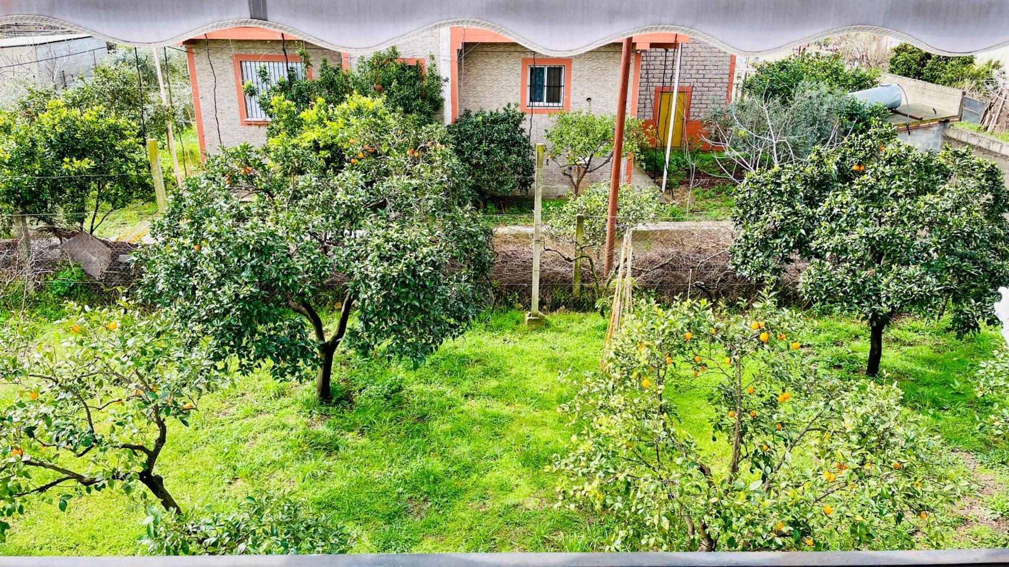 Mia Guest House - Entire Home With Balcony & Garden Дивяка Екстериор снимка